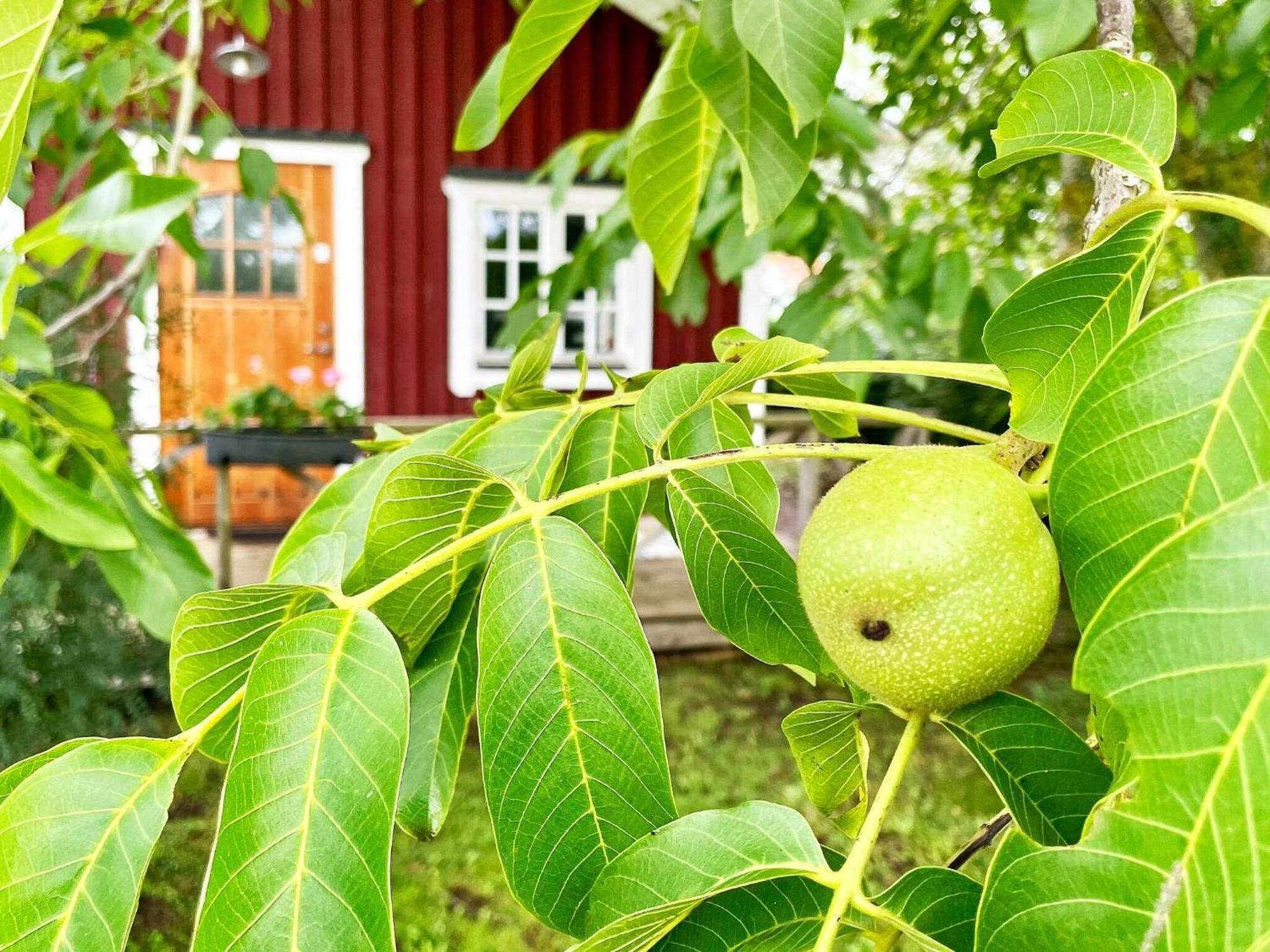 Holiday Home Malaretorpsvaegen Borgholm Exteriér fotografie